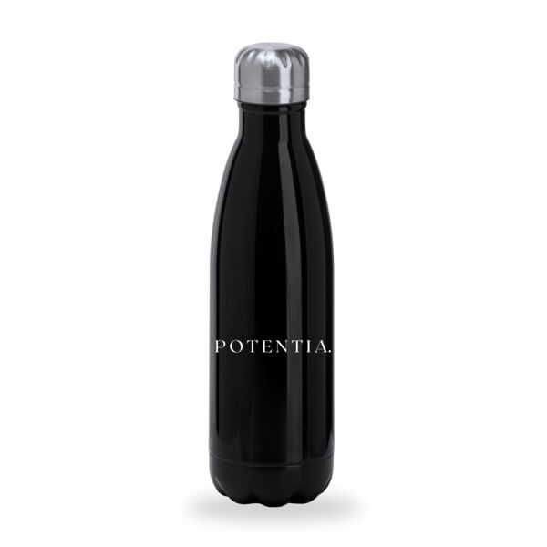 Potentia Coaching - Standard Stainless Steel Bottle Thumbnail